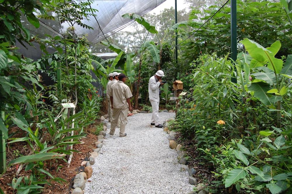 Gamboa Rainforest Reserve Hotel Bagian luar foto