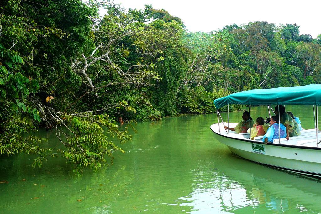 Gamboa Rainforest Reserve Hotel Bagian luar foto